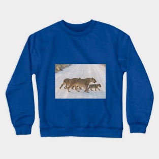 Namibia. Etosha National Park. Lioness with the Cubs Crossing Road. Crewneck Sweatshirt